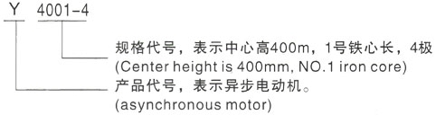 西安泰富西玛Y系列(H355-1000)高压YKS6301-6/1600KW三相异步电机型号说明